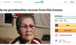 爆料婆婆视频下载安装最新